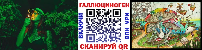Галлюциногенные грибы Psilocybe Смоленск